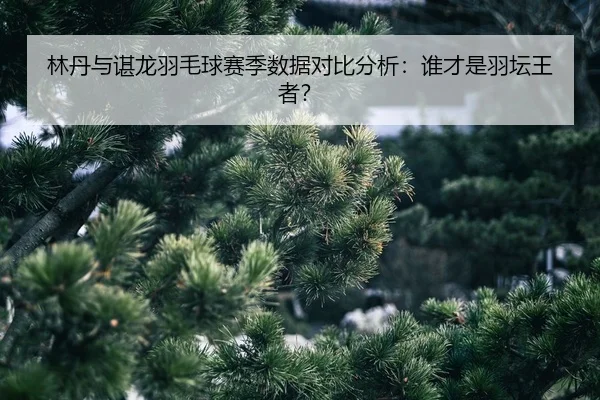 lin-dan-yu-chen-long-yu-mao-qiu-sai-ji-shu-ju-dui-bi-fen-xi-shui-cai-shi-yu-tan-wang-zhe-2-664.jpg