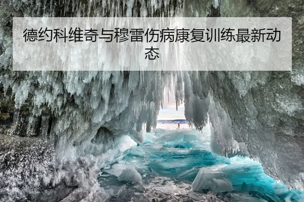 德约科维奇与穆雷伤病康复训练最新动态
